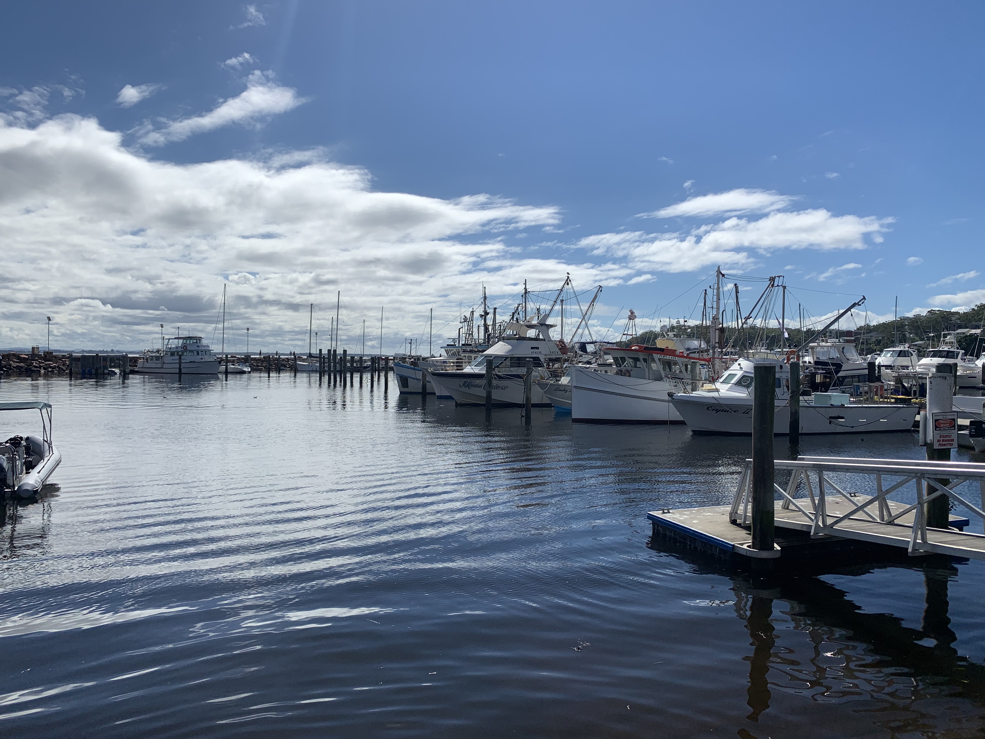 Nilson bay